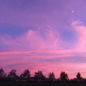 Meet your Posher, Sophia